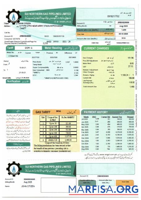 Printable Pakistan Sui Northern Gas Pipelines Limited utility bill template in Word and PDF formats
